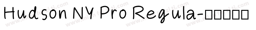 Hudson NY Pro Regula字体转换